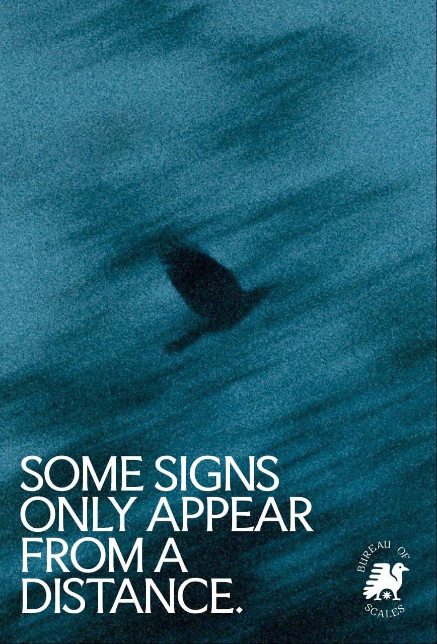 Alternative Bureau of Scales proposal featuring a distant bird and typographic message.